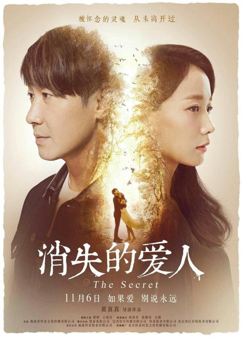 哈尔茨应用技术大学FinanceDegreeCertificate